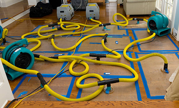 Professional Crawl Space Water Removal technician working in Granby, MO
